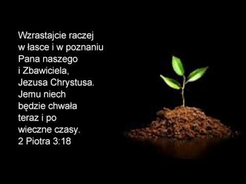 Szymon Matusiak; Wzrost w wierze i poznaniu;